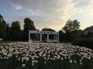 IMG_7072.JPG