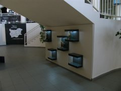 МУЗЕЙ MOTO-PFOHE / MOTO PFOHE MUSEUM